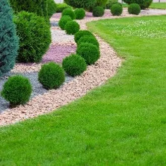 Landscaping — JR Flores Landscape Services in Highlands,&nbsp;TX