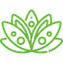 A green line drawing of a lotus flower on a white background.