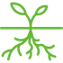 A green icon of a plant with roots and leaves on a white background.